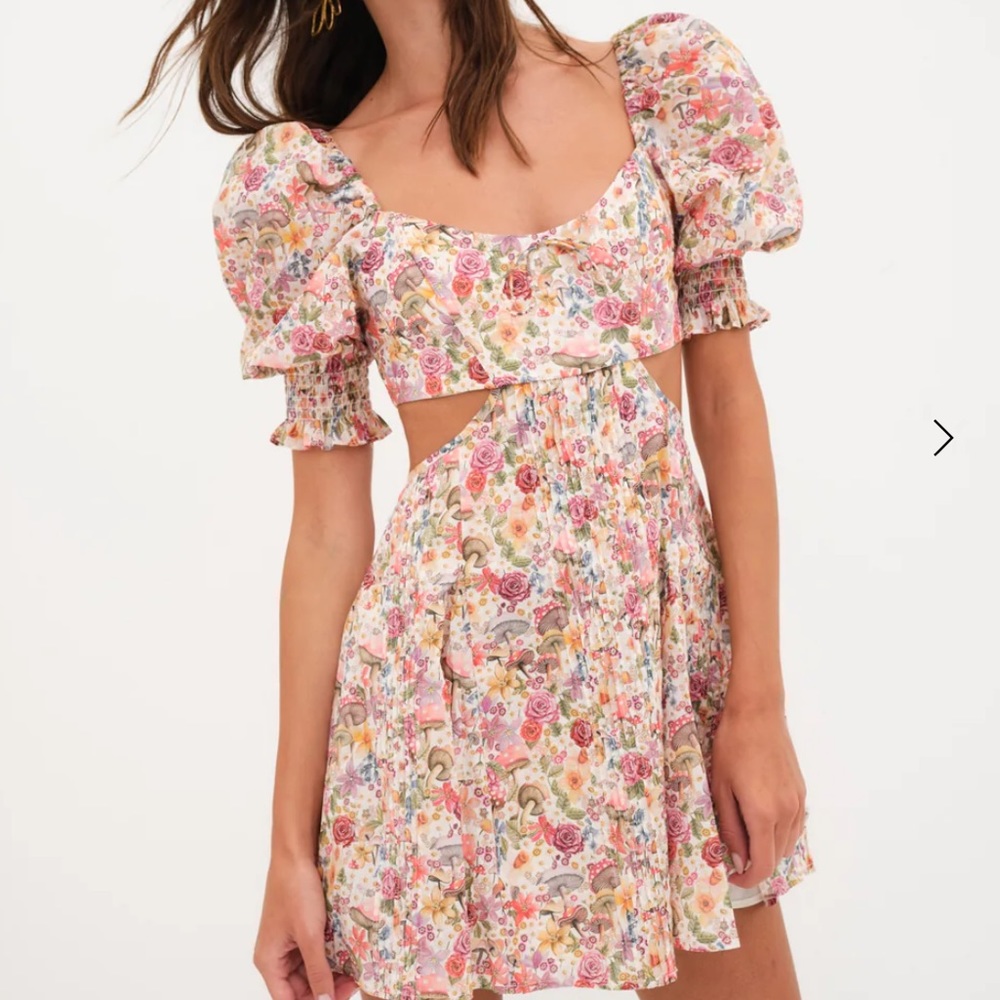 For love & lemons Arya mini dress wonderland print, floral